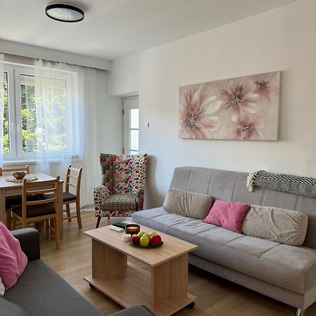 Apartament Apartman Marina Centar Vrnjačka Banja Zewnętrze zdjęcie