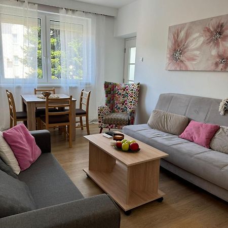 Apartament Apartman Marina Centar Vrnjačka Banja Zewnętrze zdjęcie